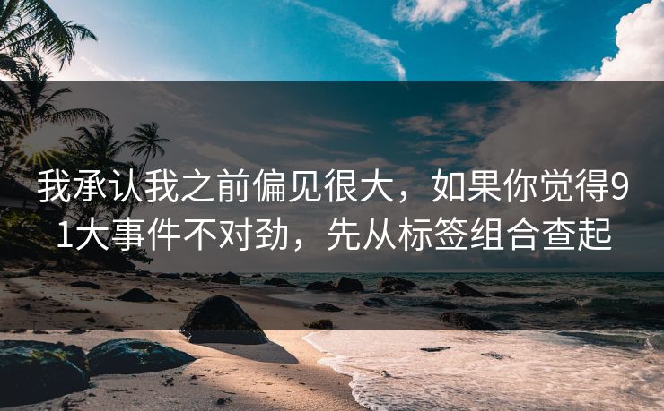 我承认我之前偏见很大，如果你觉得91大事件不对劲，先从标签组合查起