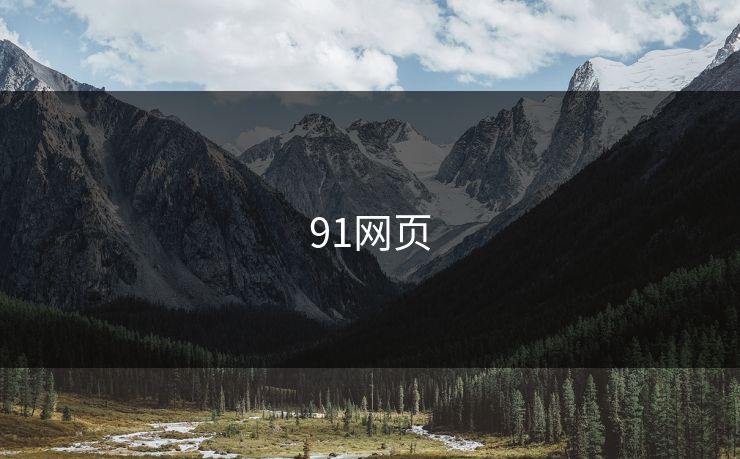 91网页
