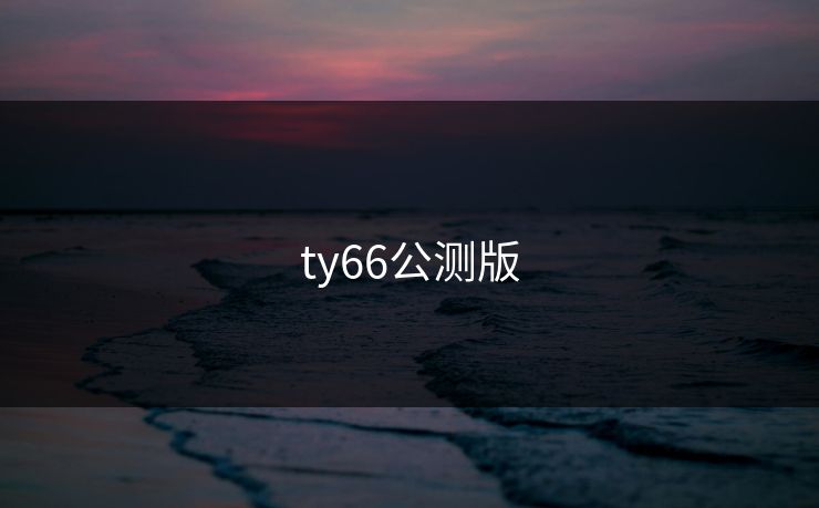 ty66公测版