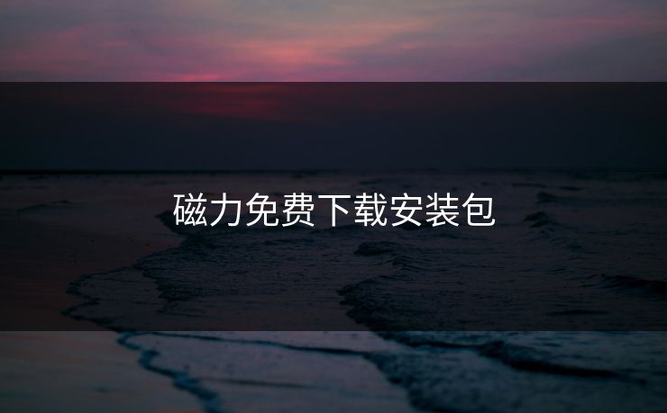 磁力免费下载安装包