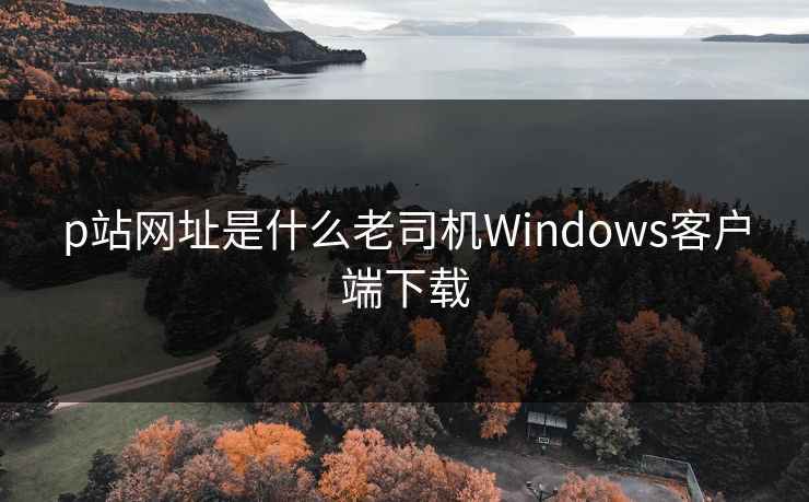 p站网址是什么老司机Windows客户端下载