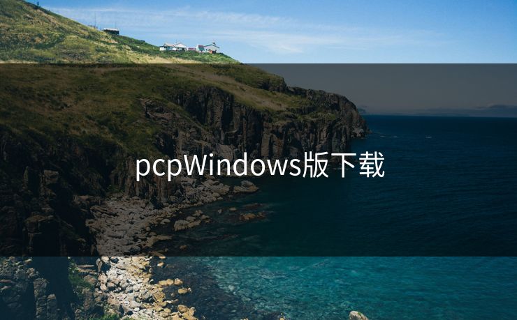pcpWindows版下载