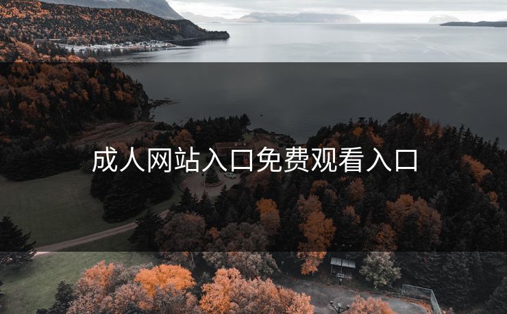 成人网站入口免费观看入口